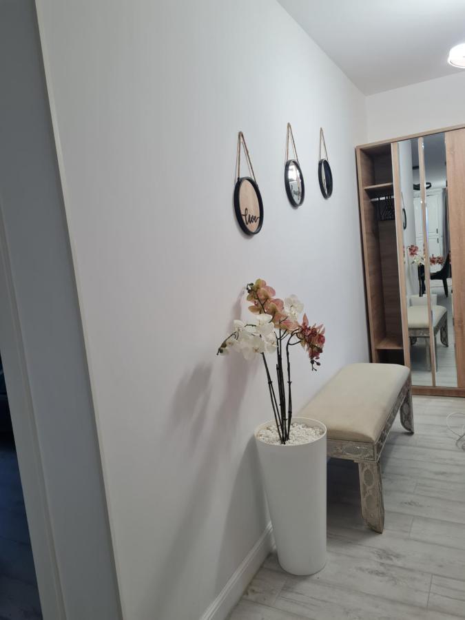 Toronto Deluxe Residence ทิมิชัวรา ภายนอก รูปภาพ